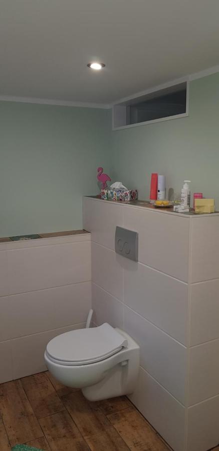 Ferienwohnung Mai 글라우하우 외부 사진
