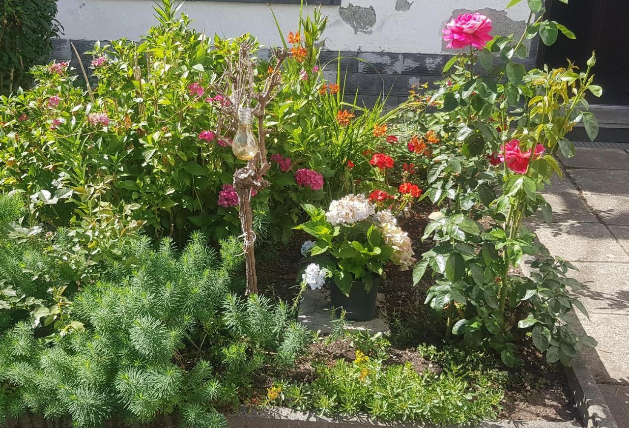 Ferienwohnung Mai 글라우하우 외부 사진
