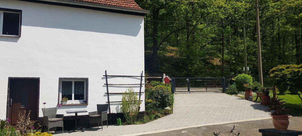 Ferienwohnung Mai 글라우하우 외부 사진